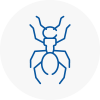 Ant Removals In Overton