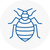 Bed Bug Extermination In Overton