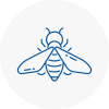 Bee Nest Removal Overton