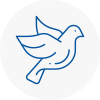 Bird Prevention Overton