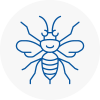 Overton Hornet Nest Removals