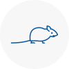 Mice Exterminators In Overton