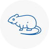Rat Control Overton