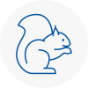 Overton Rodent Removals