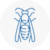 Overton Wasp Nest Removal